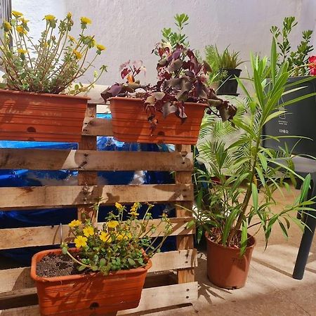 Estancia De Ensueno Y Relax Parking Gratuito Granada Bagian luar foto