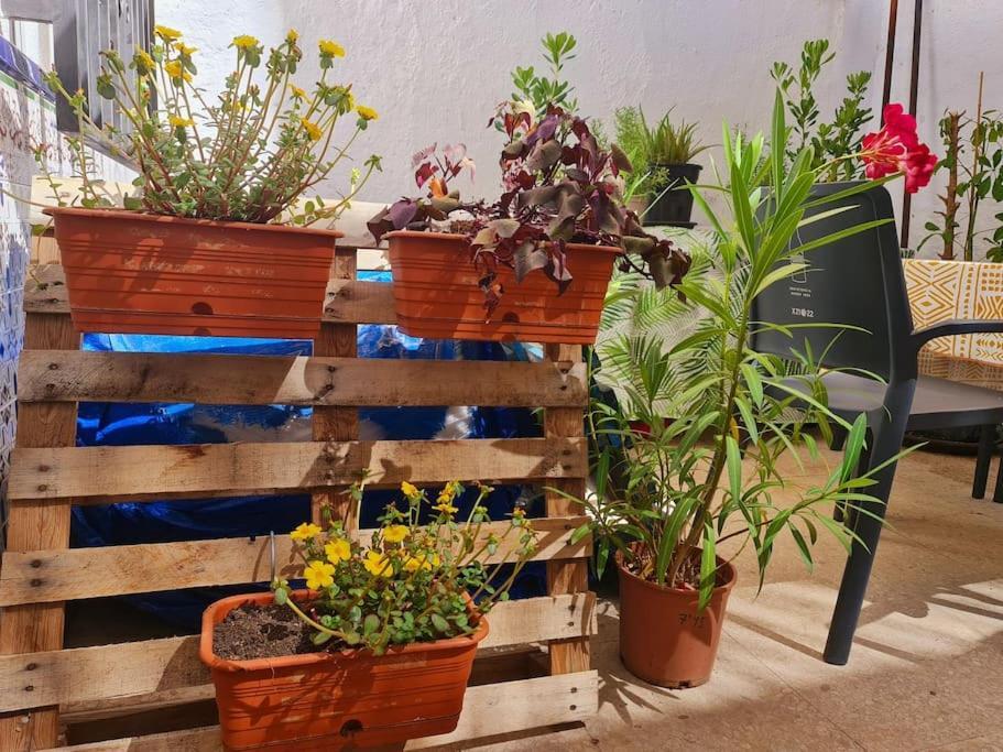 Estancia De Ensueno Y Relax Parking Gratuito Granada Bagian luar foto