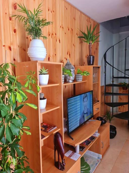 Estancia De Ensueno Y Relax Parking Gratuito Granada Bagian luar foto